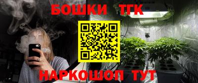 крисы Кинель