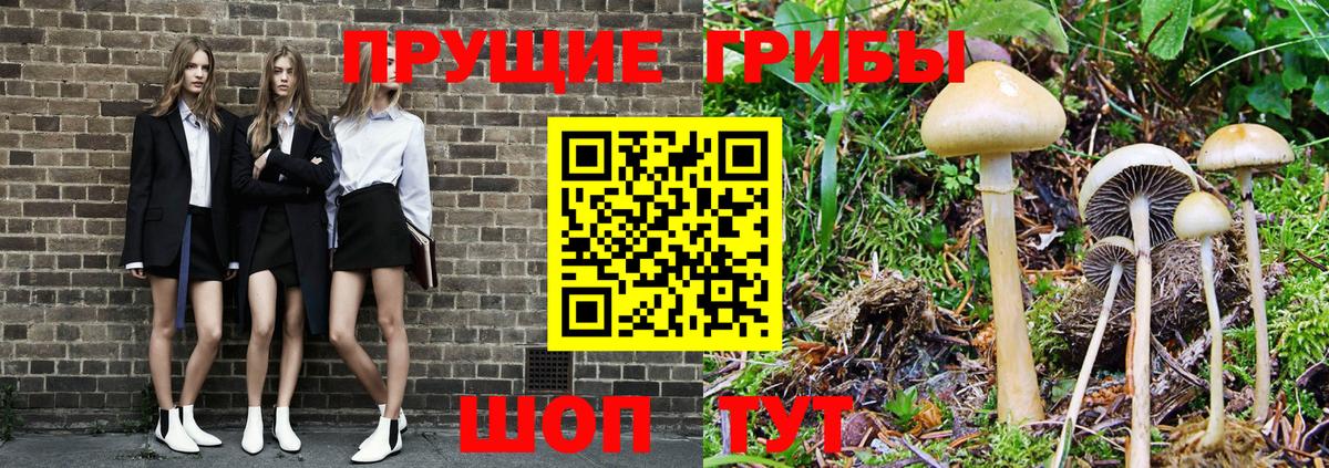 что такое наркотик  Галлюциногенные грибы Cubensis  Кудымкар  Вход с VPN  Псилоцибиновые грибы GOLDEN TEACHER 