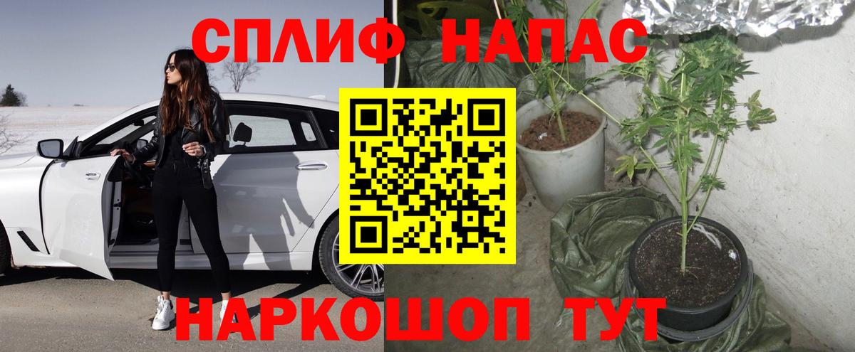 Кудымкар  МАРИХУАНА LSD WEED  МАРИХУАНА OG Kush  Вход с VPN  Канабис план 